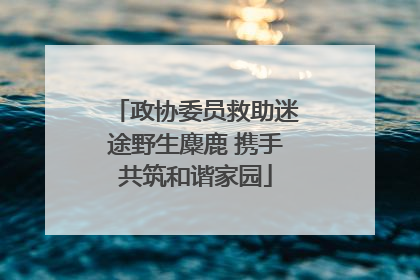 政协委员救助迷途野生麋鹿 携手共筑和谐家园