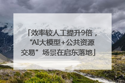 效率较人工提升9倍，“AI大模型+公共资源交易”场景在启东落地