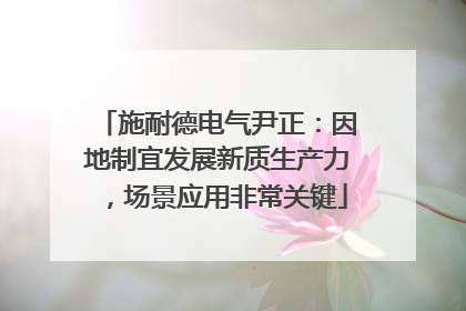 施耐德电气尹正：因地制宜发展新质生产力，场景应用非常关键