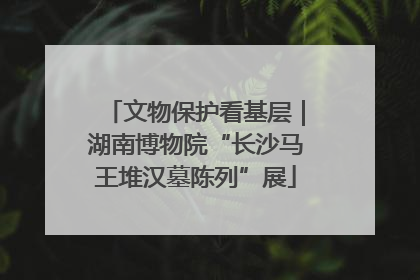 文物保护看基层｜湖南博物院“长沙马王堆汉墓陈列”展