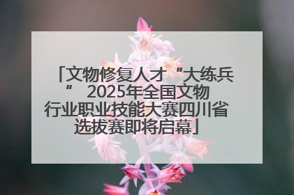 文物修复人才“大练兵” 2025年全国文物行业职业技能大赛四川省选拔赛即将启幕