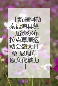 新疆阿勒泰福海县第二届沙尔布拉克草原运动会盛大开幕 展现草原文化魅力