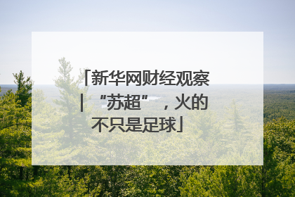 新华网财经观察｜“苏超”，火的不只是足球