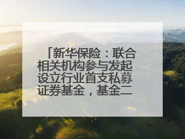 新华保险：联合相关机构参与发起设立行业首支私募证券基金，基金二期200亿元已募集完毕