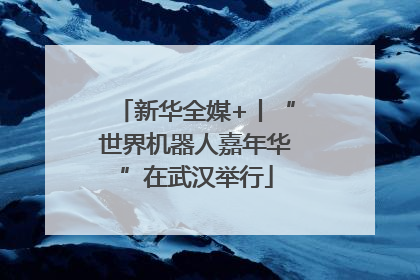 新华全媒+丨“世界机器人嘉年华”在武汉举行