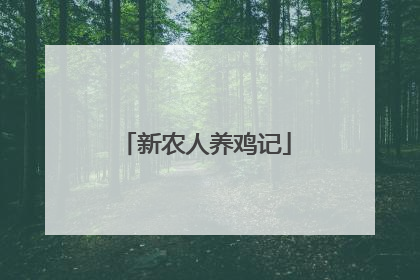 新农人养鸡记