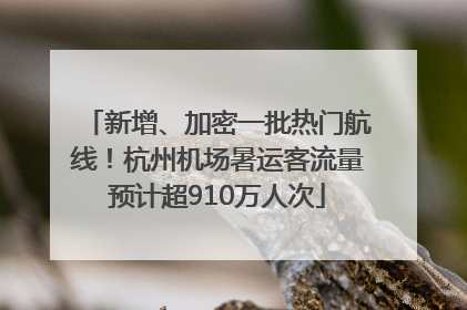 新增、加密一批热门航线！杭州机场暑运客流量预计超910万人次