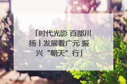 时代光影 百部川扬丨发展看广元 振兴“朝天”行