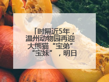 时隔近5年，温州动物园再迎大熊猫“宝弟”“宝妹”，明日正式开馆！