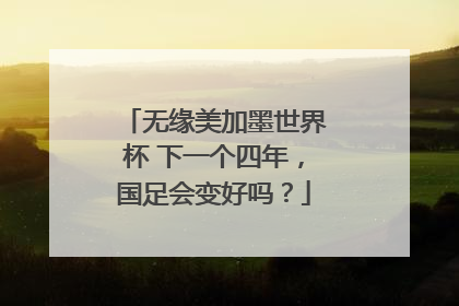 无缘美加墨世界杯 下一个四年，国足会变好吗？