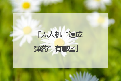 无人机“速成弹药”有哪些