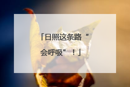 日照这条路“会呼吸”！