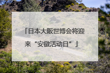 日本大阪世博会将迎来“安徽活动日”