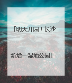明天开园！长沙新增一湿地公园