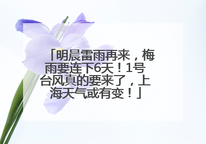 明晨雷雨再来，梅雨要连下6天！1号台风真的要来了，上海天气或有变！