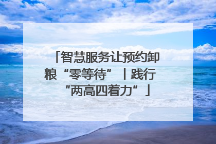 智慧服务让预约卸粮“零等待”丨践行“两高四着力”