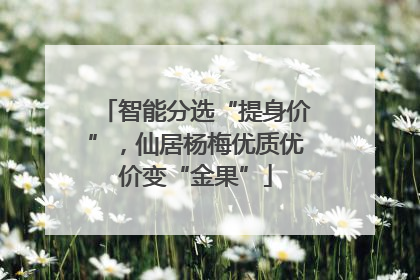 智能分选“提身价”，仙居杨梅优质优价变“金果”