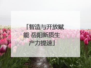 智造与开放赋能 岳阳新质生产力提速