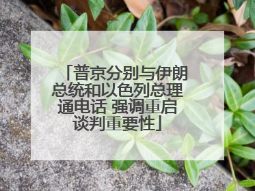 普京分别与伊朗总统和以色列总理通电话 强调重启谈判重要性
