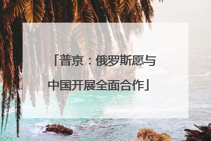 普京：俄罗斯愿与中国开展全面合作