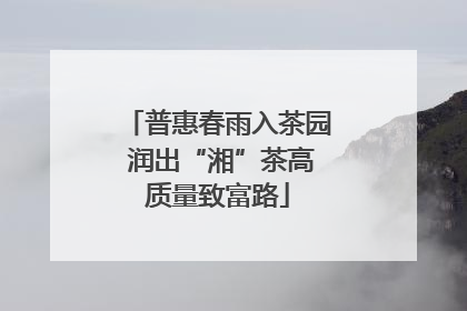 普惠春雨入茶园 润出“湘”茶高质量致富路