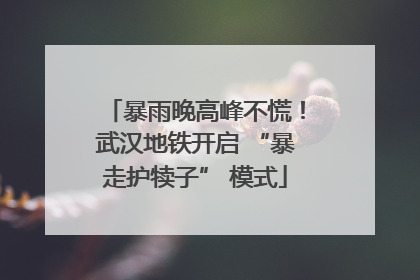 暴雨晚高峰不慌！武汉地铁开启 “暴走护犊子” 模式