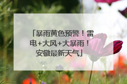 暴雨黄色预警！雷电+大风+大暴雨！安徽最新天气