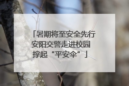 暑期将至安全先行 安阳交警走进校园撑起“平安伞”