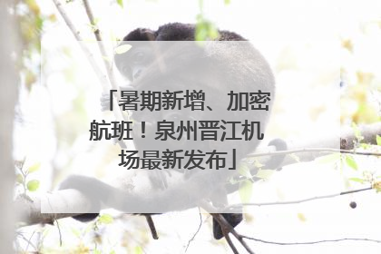 暑期新增、加密航班！泉州晋江机场最新发布