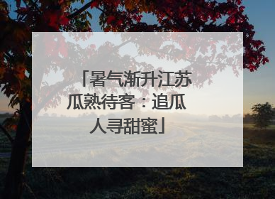 暑气渐升江苏瓜熟待客：追瓜人寻甜蜜