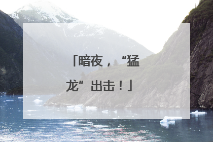 暗夜，“猛龙”出击！