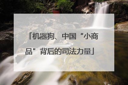 机器狗、中国“小商品”背后的司法力量