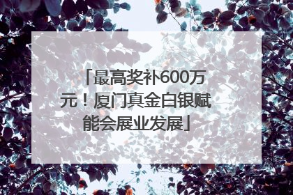 最高奖补600万元！厦门真金白银赋能会展业发展