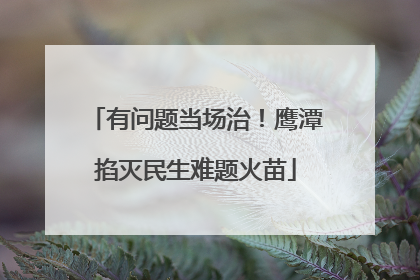 有问题当场治！鹰潭掐灭民生难题火苗