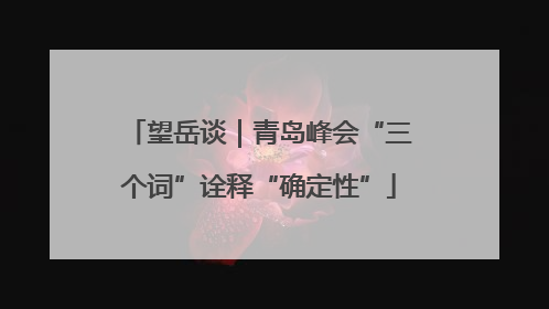 望岳谈｜青岛峰会“三个词”诠释“确定性”