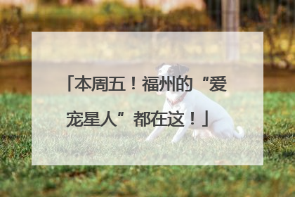 本周五！福州的“爱宠星人”都在这！
