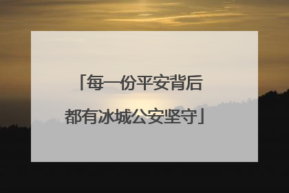 每一份平安背后 都有冰城公安坚守