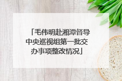毛伟明赴湘潭督导中央巡视组第一批交办事项整改情况
