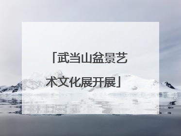 武当山盆景艺术文化展开展