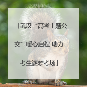 武汉“高考主题公交”暖心启程 助力考生逐梦考场