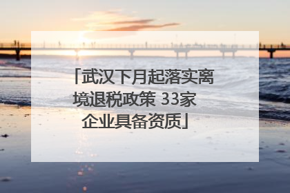 武汉下月起落实离境退税政策 33家企业具备资质