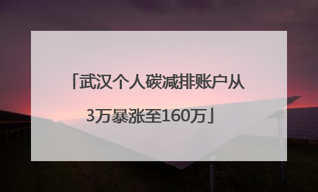 武汉个人碳减排账户从3万暴涨至160万