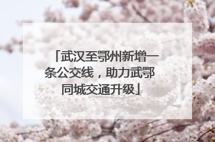 武汉至鄂州新增一条公交线，助力武鄂同城交通升级
