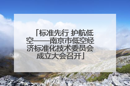 标准先行 护航低空——南京市低空经济标准化技术委员会成立大会召开