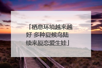 栖息环境越来越好 多种夏候鸟陆续来厦恋爱生娃