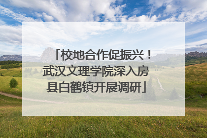 校地合作促振兴！武汉文理学院深入房县白鹤镇开展调研