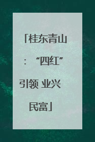 桂东青山：“四红”引领 业兴民富