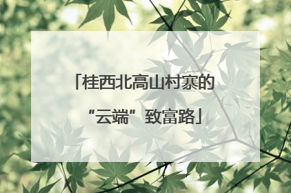 桂西北高山村寨的“云端”致富路