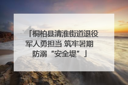 桐柏县清淮街道退役军人勇担当 筑牢暑期防溺“安全堤”