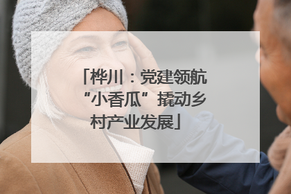 桦川：党建领航“小香瓜”撬动乡村产业发展
